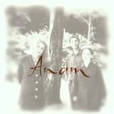 The Sweet Flowers of Milltown (jig) / The Sweet Flowers of Milltown (reel) / Paddy's Trip to Lake Arthur (reel)