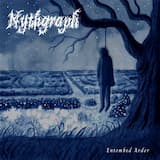 A Fruit Tree in the Mist