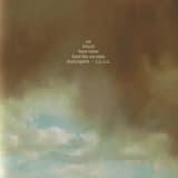 All My Hammocks Are Dying