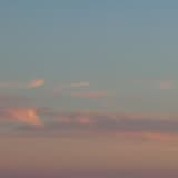 Fragrant Suncry, a Scented Memorium