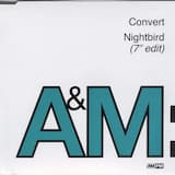 Nightbird (12″ version)