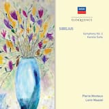Symphony no. 2 in D, op. 43: I. Allegretto - Poco allegro - Tranquillo, ma poco a poco ravvivando il tempo al allegro