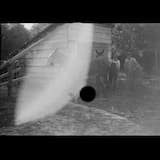 Horse Goes to Heaven