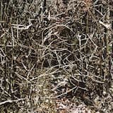 Heat Shelter's Periscope