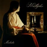 Taciturn Landscape of a Violets Field