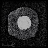 These Tangent Beings