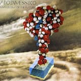 Curling Up Your Spine