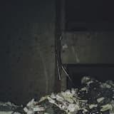 Half-Silvered Mirror IV