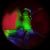 The Royal Handkerchief Ballet