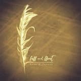 A Stumble into Old Jazz