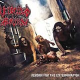 Desmembramiento preventivo '2010