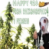 Happy 420
