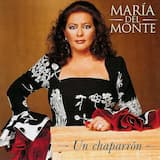 Un chaparrón, chaparrón