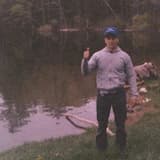 Irrelevant Skeletons