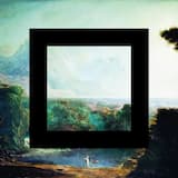 Árnica, bálsamo de los ojos