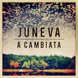 The Magnificent Sycophant