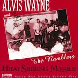 Heat Seeking Missile