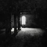 Dance, Darkness Dance