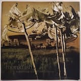 The Shadow of a Thief