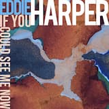 If You Could See Me Now