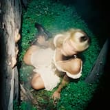 Out of the Headlights