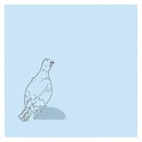 small fish drowns in the big city