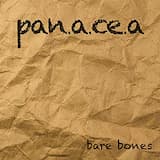 No More Secrets (acoustic)