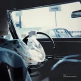 The cat tracks in sweet grass