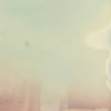 Something to protect