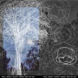 Panic, despair, anxiety, sadness, where are you?