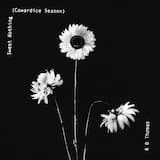 Sweet Nothing (Cowardice Season)