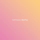 Mary Never Sings Our Songs