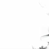 Jazz para velhas deficientes, Entering the Psychiatric Ward (Stent Revisited)