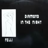 Diamond in the Night (vocal)