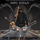 The Spirit of Shadow