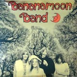 My Mother's Gone to India / Hare Krishna / Time of the Green Banana / Remember the Name