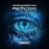 Frozen Tears (extended mix)
