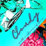 Cloudy (with a Chance of Rain)