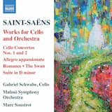 Cello Concerto no. 2 in D minor, op. 119: I. Allegro moderato e maestoso - Andante sostenuto
