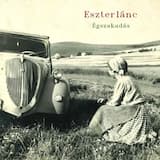 Elémentem (Meg se haltam…) / Nem létező dallam / Most jöttem Gyulafehérvárról / Vig(h) napok