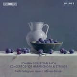 Harpsichord Concerto No. 8 in D Minor, BWV 1059 (Reconstr.): I. Allegro