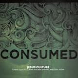 Holding Nothing Back