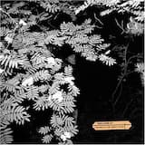 My Grey Life (Second Chances)