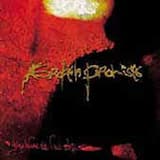 Overthrowing The Reason: The Silent Companion