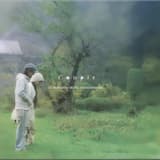 sunset on the fields