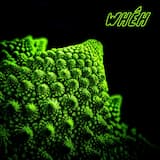 Holy Sleep’s Mountain