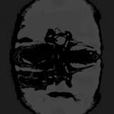 Remains Of The Winter