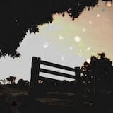 The Last Ride, Pt. 2