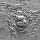 Rebellion (instrumental version)