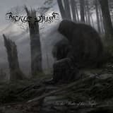 In the Wake of the Night